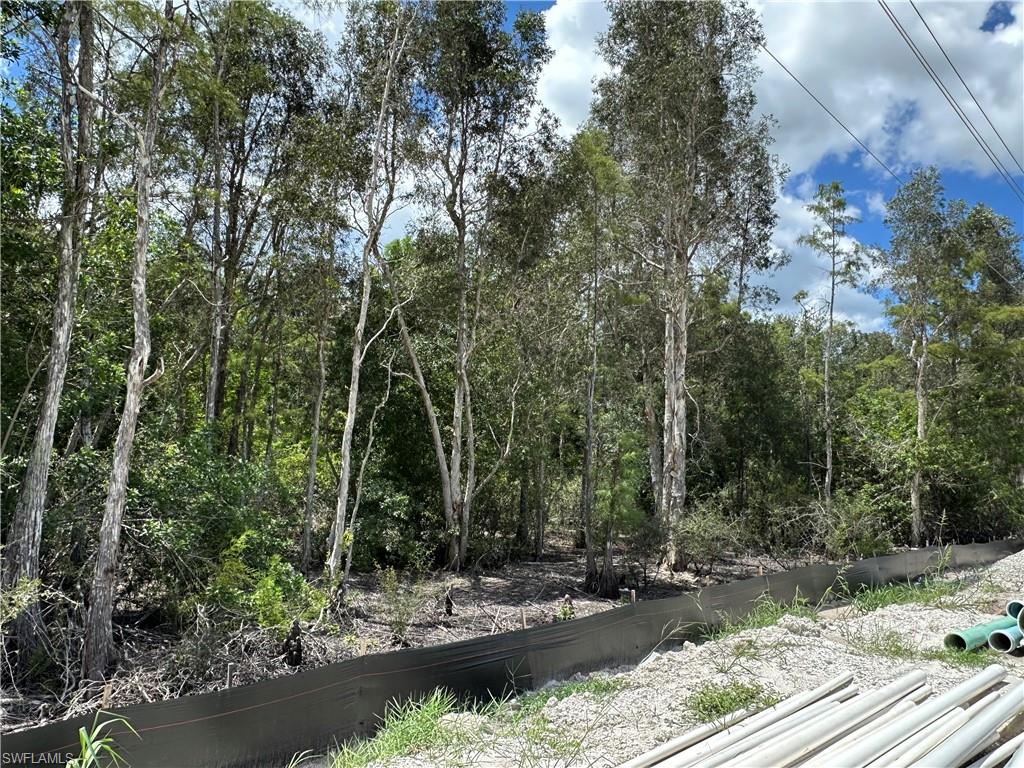 BONITA SPRINGS - Land