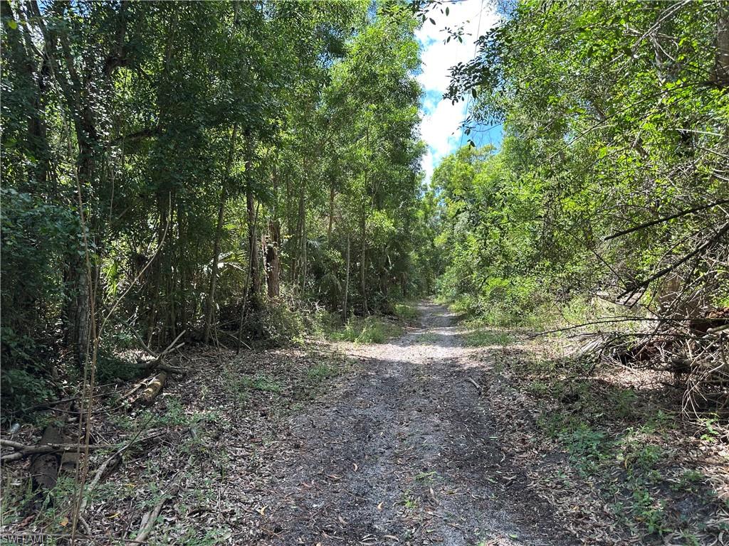 BONITA SPRINGS - Land
