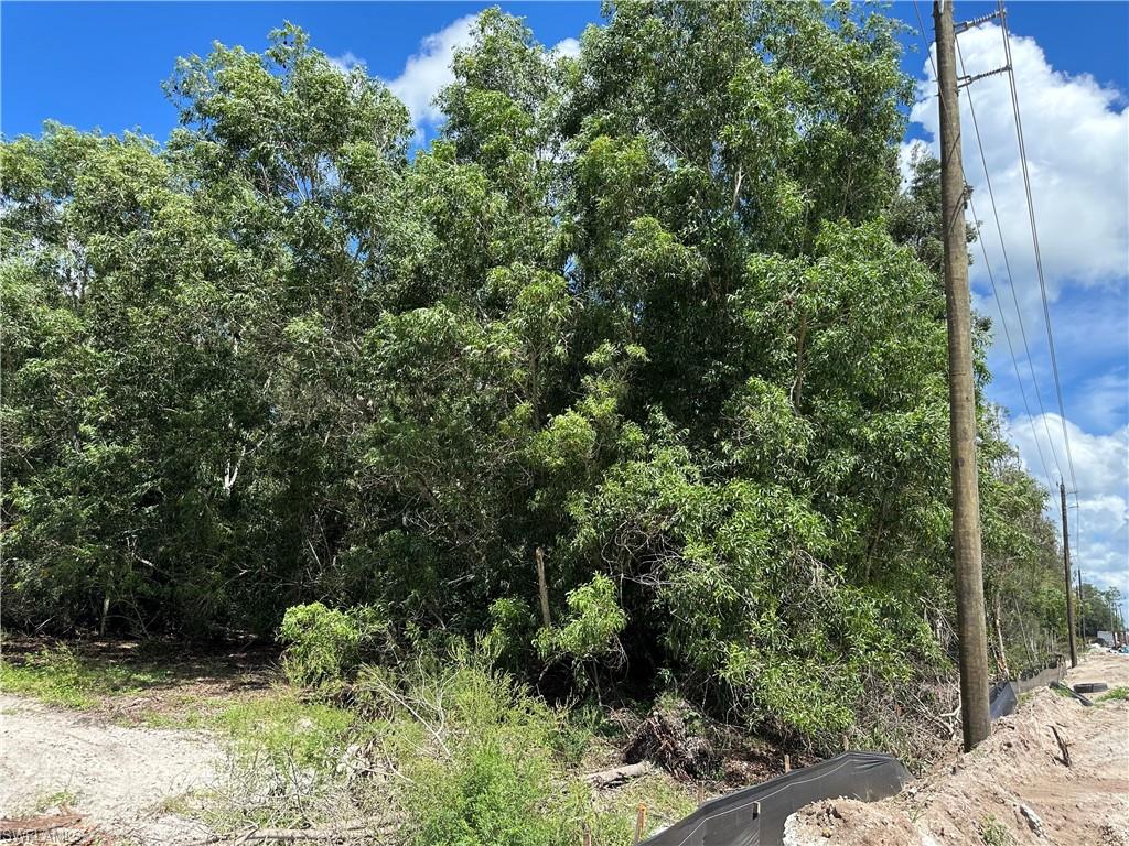 BONITA SPRINGS - Land