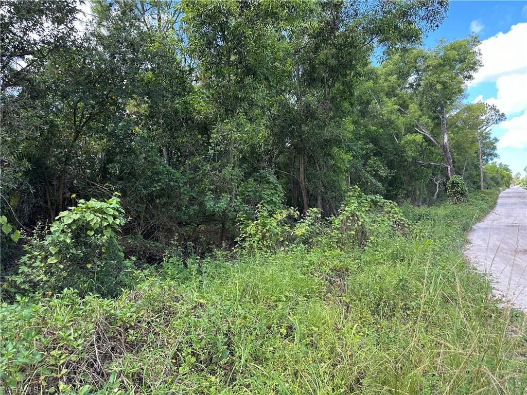 BONITA SPRINGS - Land