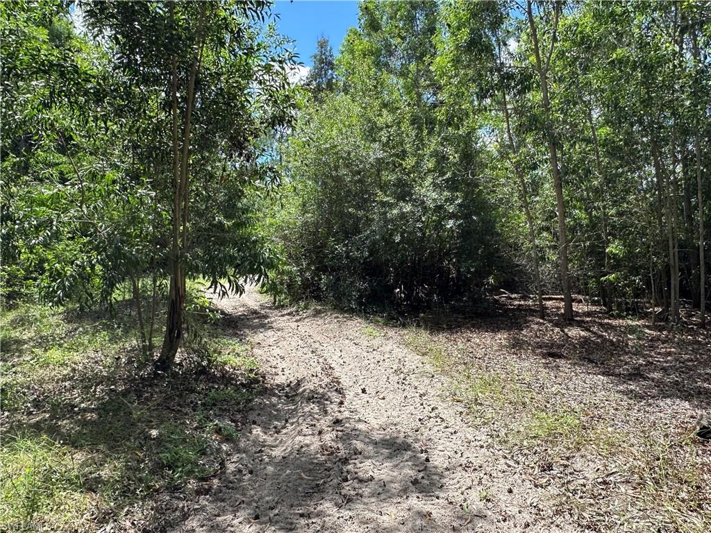 BONITA SPRINGS - Land