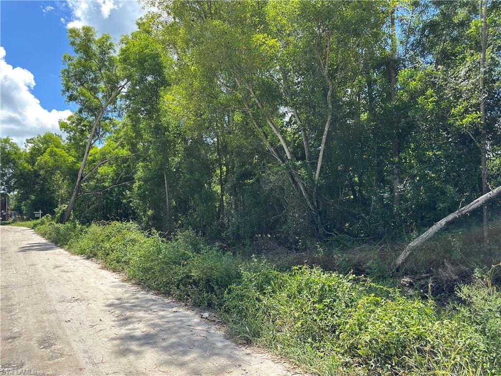 BONITA SPRINGS - Land