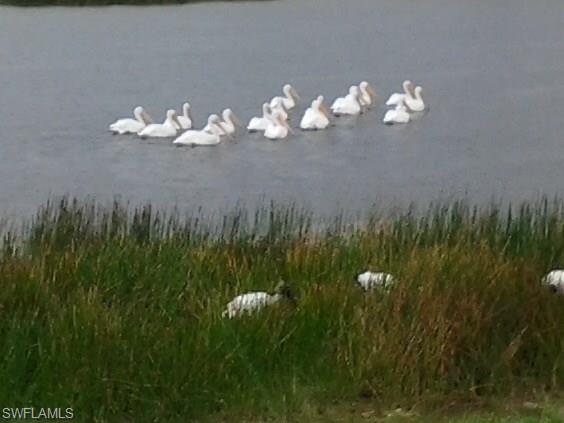 SANDOVAL - Residential