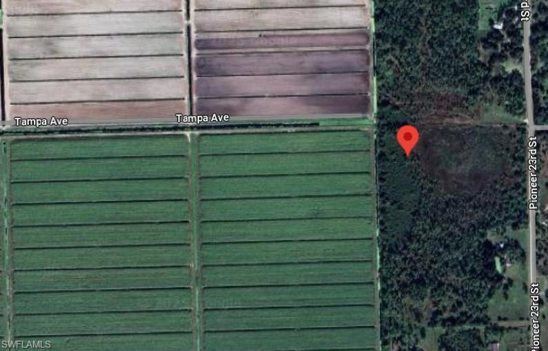 Listing image 8