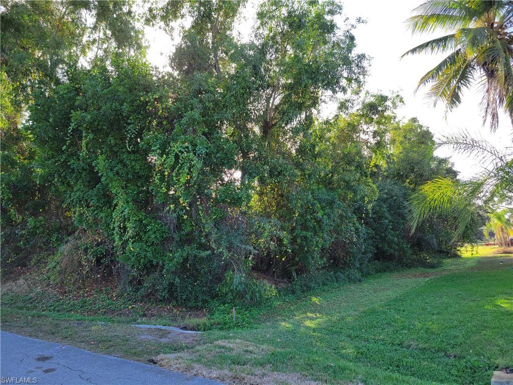 SAN CARLOS PARK - Land