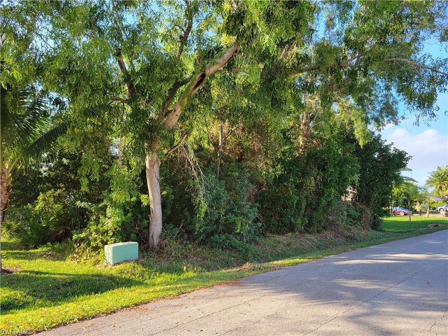 Discover the potential of this parcel of land.  With .31 acres, you’ll have lots of room to spread out.  NO HOA.  Whether you aspire to build a custom home or investment property, the possibilities are endless.  Enjoy the convenience of nearby amenities.  Don't miss out on this unique opportunity to invest in a piece of Fort Myers.
