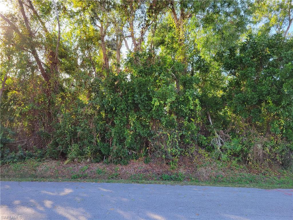 SAN CARLOS PARK - Land