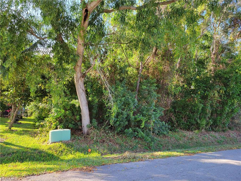 SAN CARLOS PARK - Land