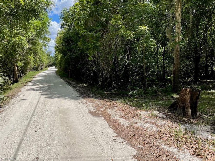 Florida living on the Peace River - this vacant 2.29 acre lot is just waiting for your dream home to become a reality. It has Southern views on the river loop, making it a perfect spot to watch the spectacular Florida sunsets.