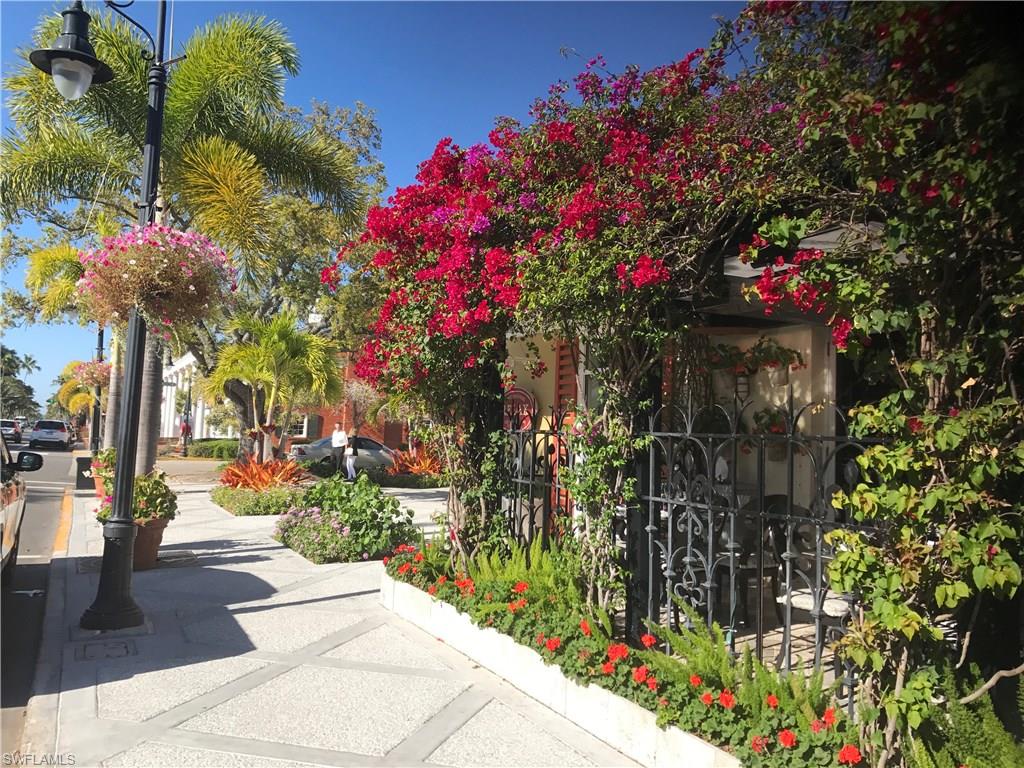 OLDE NAPLES - Residential