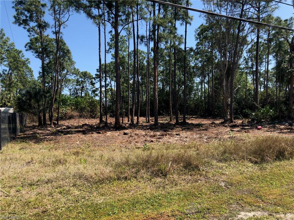 SAN CARLOS ESTATES - Land