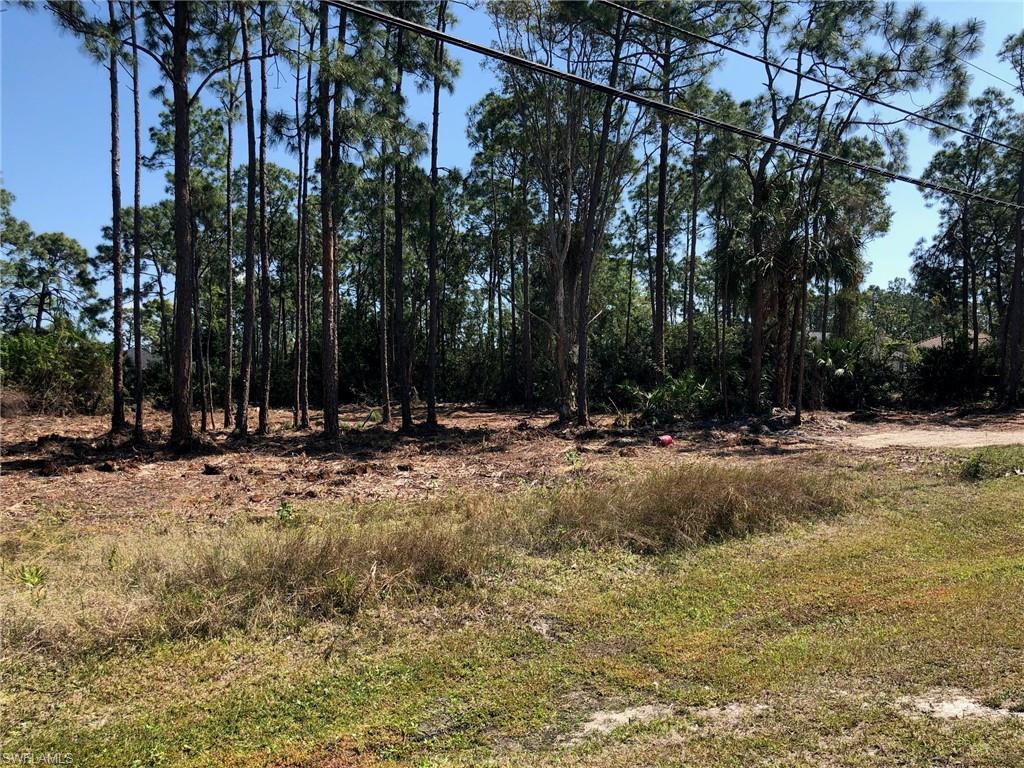 SAN CARLOS ESTATES - Land