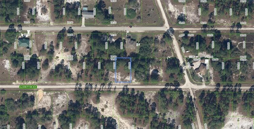 A VACANT LOT IN LAKE PLACID IN HIGHLANDS COUNTY!!!