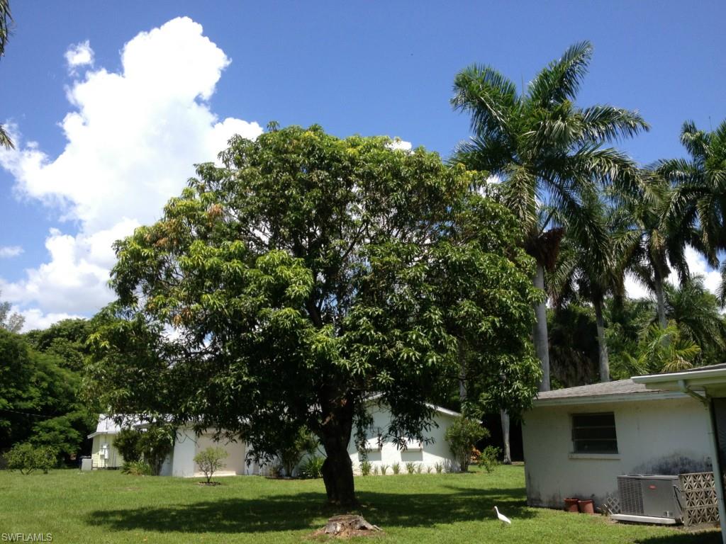 FORT MYERS - Residential