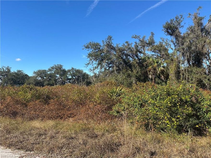 Great opportunity to own a .44-acre lot (almost half an acre) in the rapidly growing city of Lehigh Acres. Conveniently located near I-80 offering easy access while still providing privacy and space.
The generous lot size allows you to build a spacious custom home with room for a pool and outdoor living, ideal for creating your dream home. The property has few tall trees, making clearing and preparation easier and more cost-effective. Electricity is nearby, allowing for quick and easy access to power, and the streets are already paved.