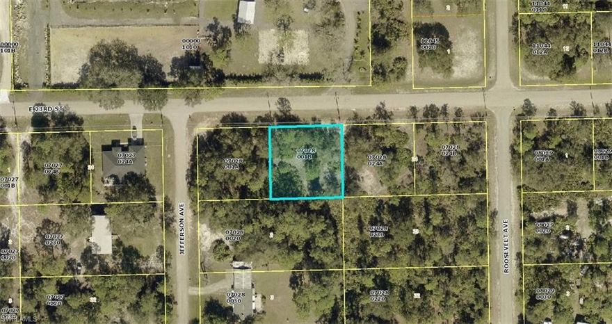Discover an exceptional opportunity to own a beautiful half-acre SINGLE-FAMILY RESIDENTIAL BUILDING LOT in the peaceful and growing community of Alva, Florida. This NON-DEED-RESTRICTED neighborhood offers the freedom to design and build your custom dream home surrounded by mature trees that enhance privacy and create a serene natural backdrop.

With desirable southern rear exposure, this property provides the ideal setting for a future pool, garden, or outdoor living space. Experience the tranquility of country living while still enjoying convenient access to everything Southwest Florida has to offer.

Located just minutes from State Road 80, you’ll enjoy quick access to Fort Myers, shopping, dining, top-rated schools, and the Southwest Florida International Airport. Outdoor enthusiasts will love the proximity to boating, fishing, kayaking, hiking, and scenic parks.

Whether you're planning your forever home, a seasonal retreat, or an investment property, this lot combines the charm of rural living with the convenience of nearby city amenities. Don’t miss your chance to secure your slice of Florida paradise in the heart of Alva.