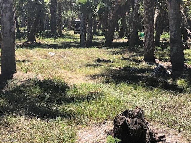 GOLDEN GATE ESTATES - Land