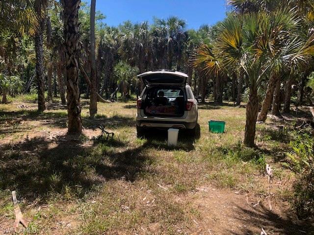 GOLDEN GATE ESTATES - Land