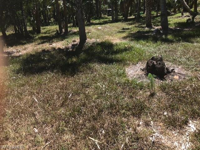 GOLDEN GATE ESTATES - Land