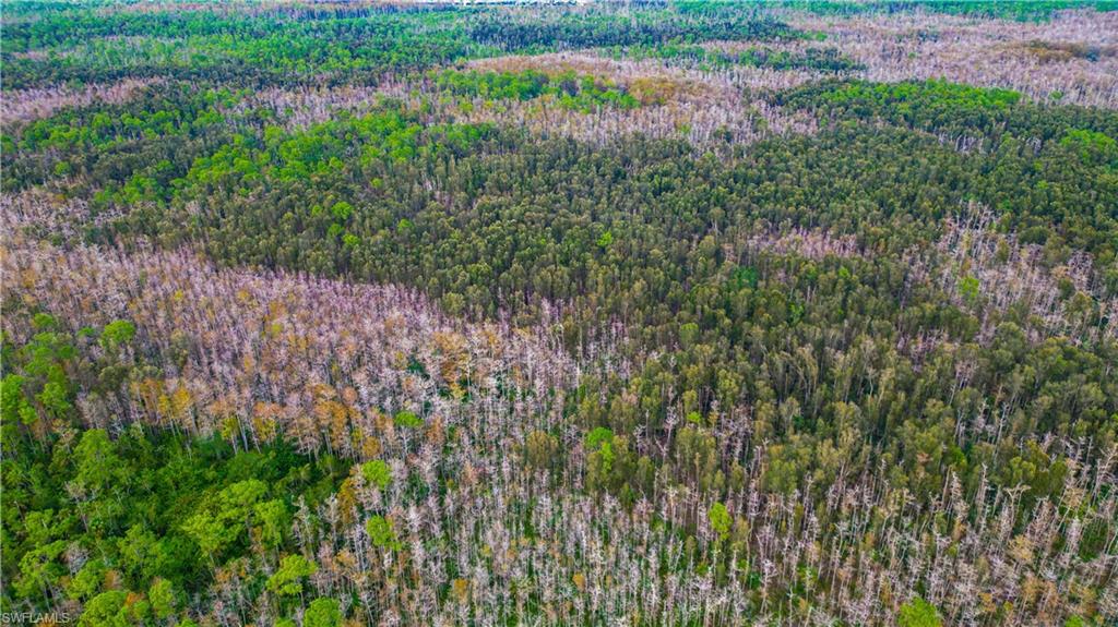 ACREAGE HEADER - Land