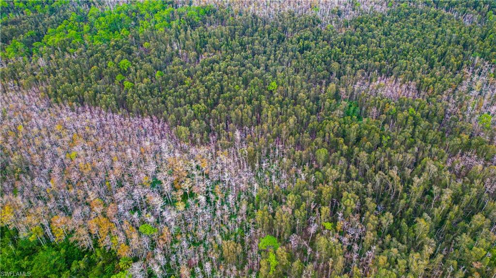 ACREAGE HEADER - Land