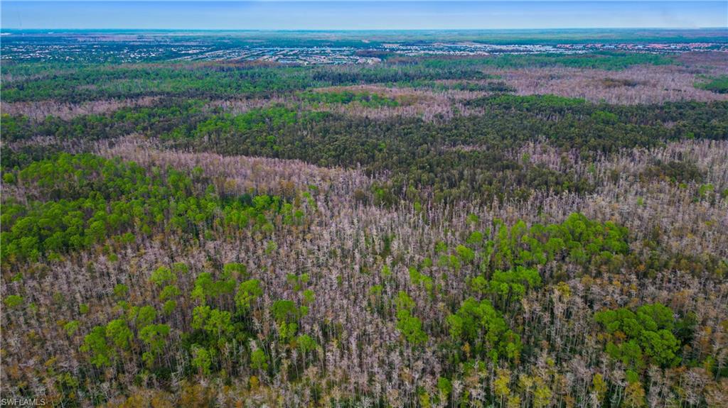 ACREAGE HEADER - Land