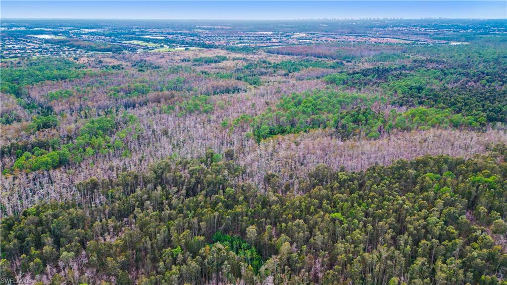 ACREAGE HEADER - Land