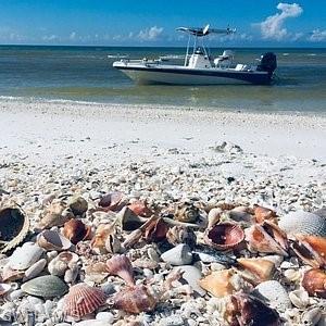 HOLIDAY HEIGHTS - Land