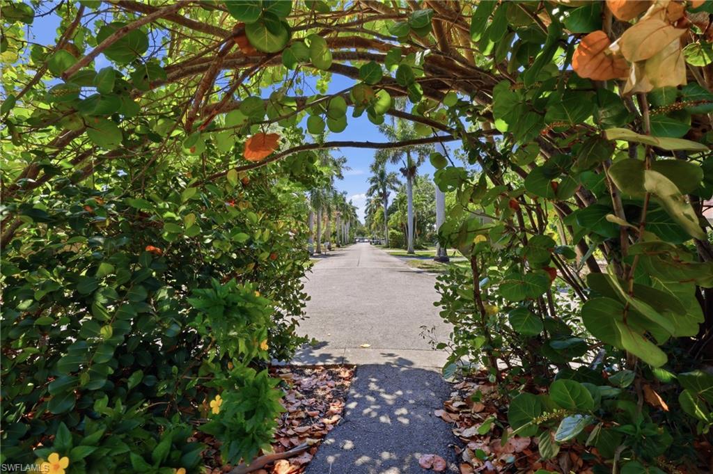 MYRTLE TERRACE - Residential