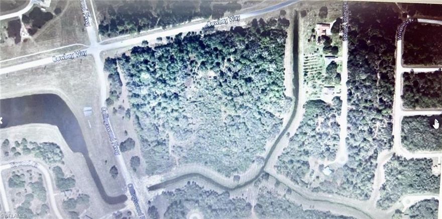 Great opportunity to build a new community in this Lot of 20.25 Acres. Sellers motivated! PRICED TO SALE !UNDER APPRAISAL VALUE!!Plat for 58 single homes was submitted by previous owner. Do not lose this opportunity.