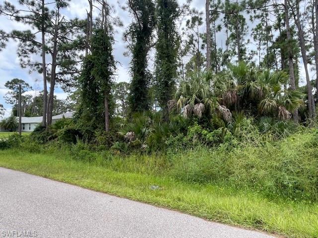 NOT APPLICABLE - Land