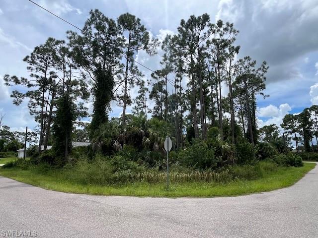 NOT APPLICABLE - Land