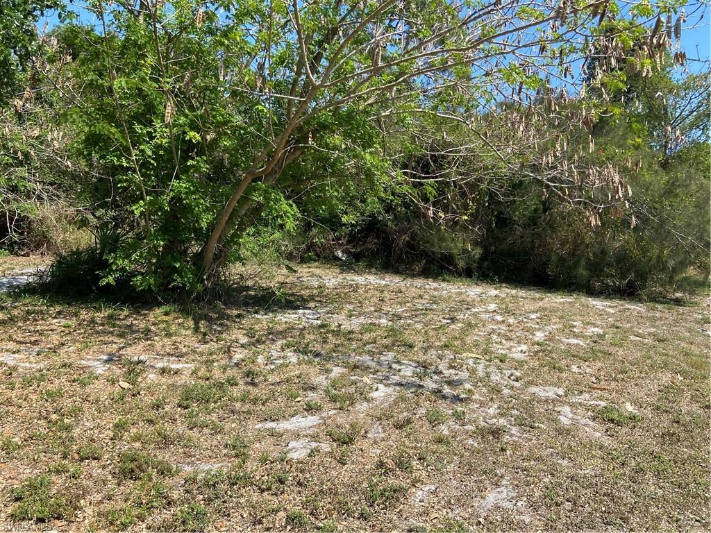 W H SURENCY - Commercial Sale