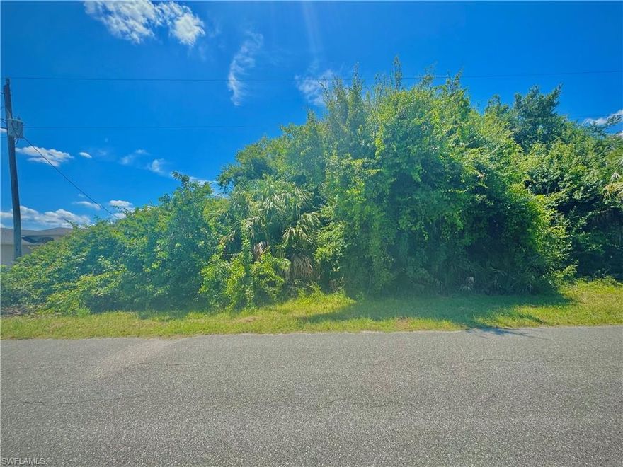 GREAT LOCATION in the highly desirable BUCKINGHAM area on a quiet PAVED street with utilities available just minutes from major amenities and a quick commute into Fort Myers! Come build your DREAM HOME or INVEST in this growing community today!!