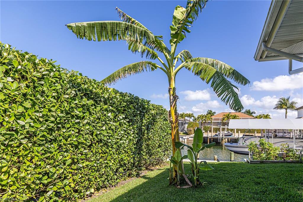 MARCO ISLAND - Residential