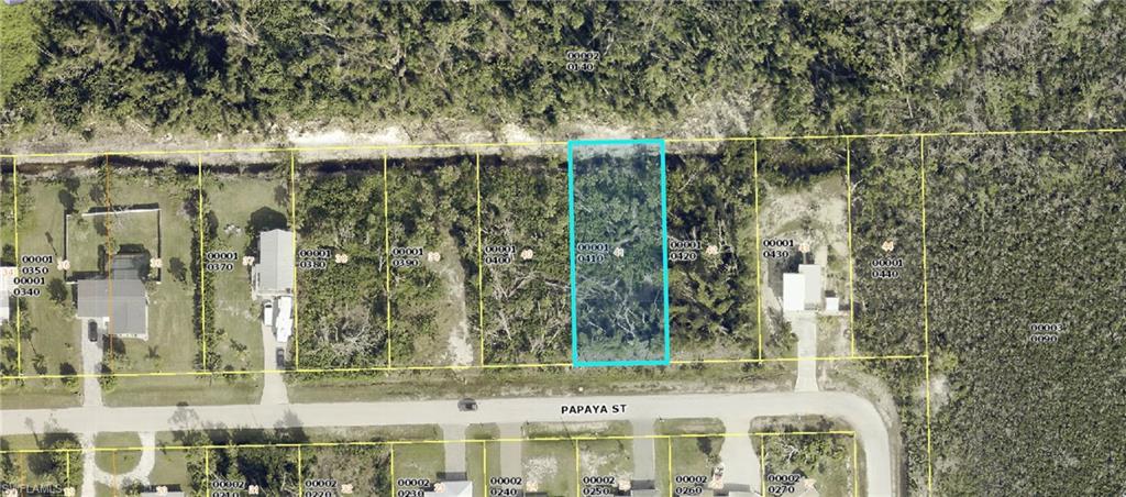 PINE ISLAND TROPICAL HOMESITES - Land