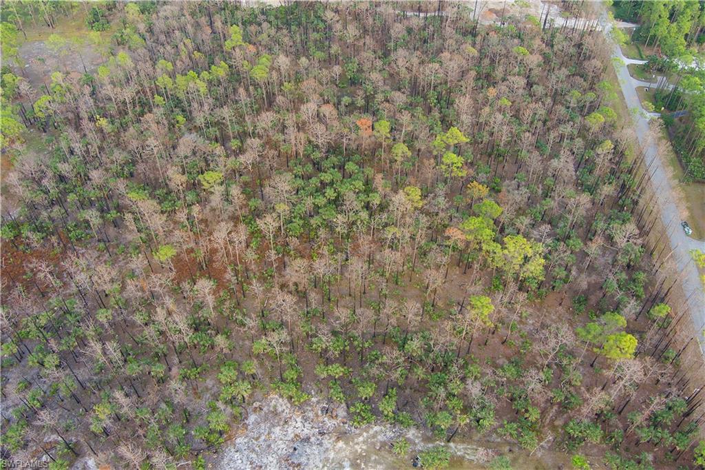 GOLDEN GATE ESTATES - Land