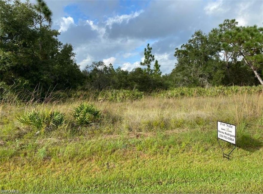 the land beside is for sale too, if you want to buy both together