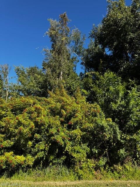 PINE ISLAND CENTER - Land