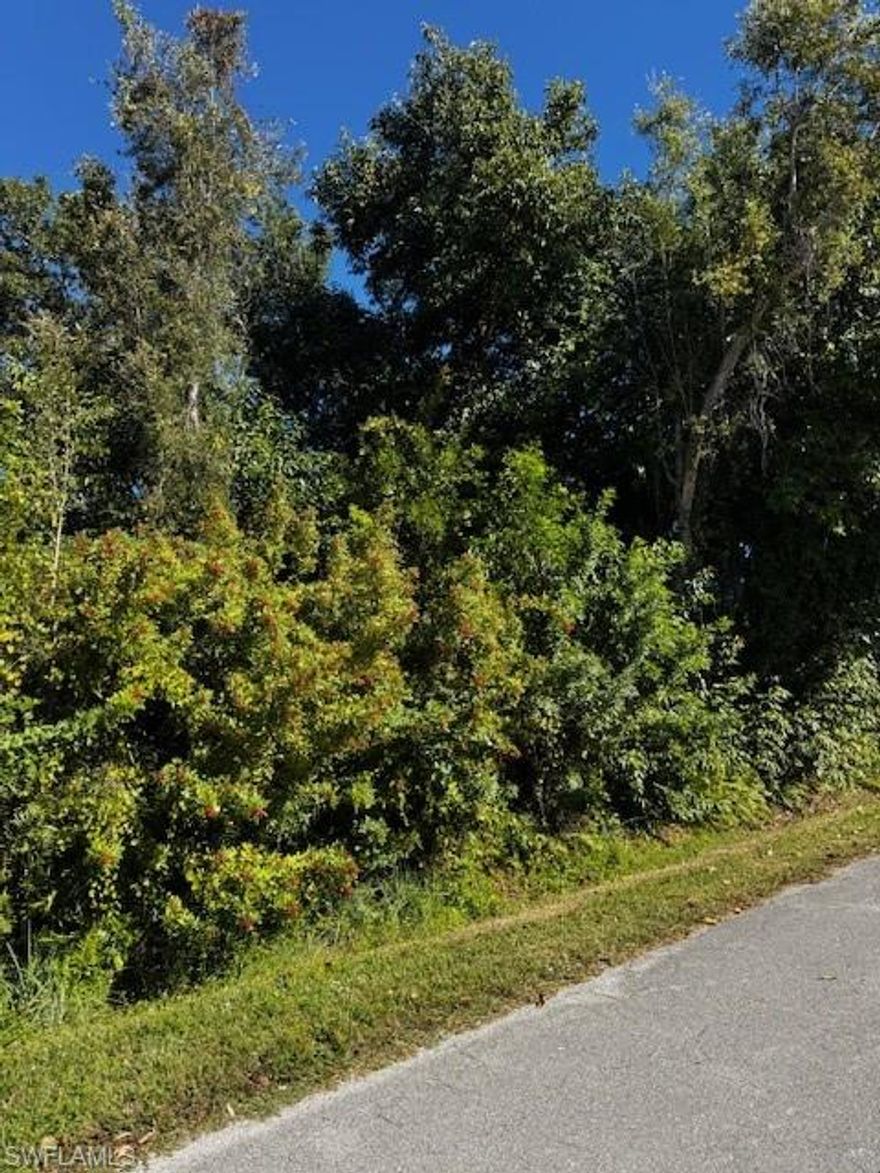 Residential Vacant Lot Near Pine Island Center – High & Dry, Great Value!

Excellent opportunity to own a residential vacant lot near Pine Island Center, located on a quiet, wooded street with the convenience of a paved public road. This property offers northern exposure, providing comfortable natural light and ideal conditions for island living.

Surrounded by mature trees and a peaceful setting, the lot offers privacy while still being close to shopping, dining, parks, and local amenities. Whether you’re ready to build now or secure a smart investment for the future, this property is a great deal in a highly desirable area of Pine Island.

Enjoy the laid-back island lifestyle with easy access to bike paths, boat ramps, and all that Pine Island has to offer. Build your dream home in a serene setting—opportunities like this are rare!