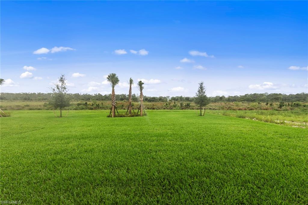 THE PLACE AT CORKSCREW - Residential