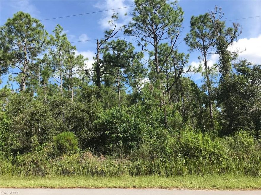 Enjoy the peaceful, country lifestyle of Golden Gate Estates, just minutes from the splendor and beautiful beaches of Naples, Florida. Build the home of your dreams on this wonderful 1.59 acre wooded lot. Zoning allows 2 horses per acre. Property is 100% Uplands per the 2006 DEP Wetland Determination attached. Beautiful property with lots of nice pines and palms.