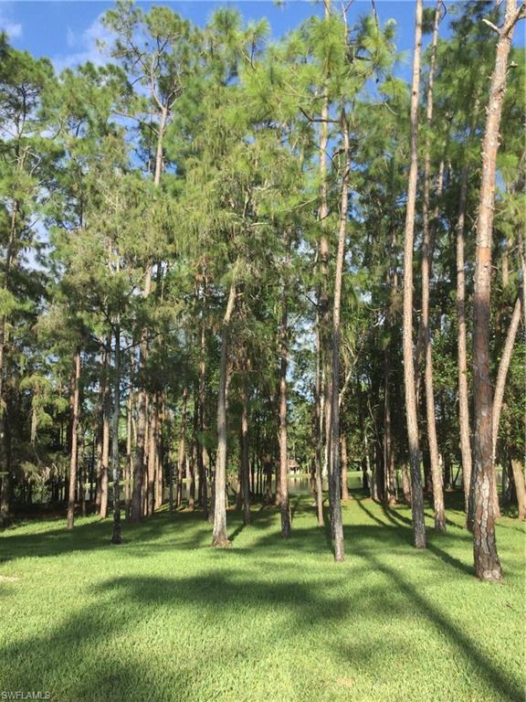 TALL PINES - Residential