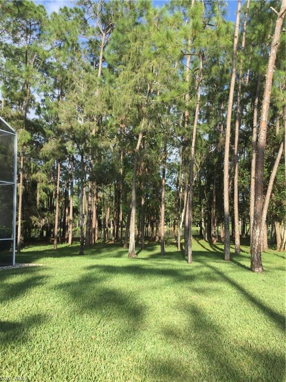 TALL PINES - Residential