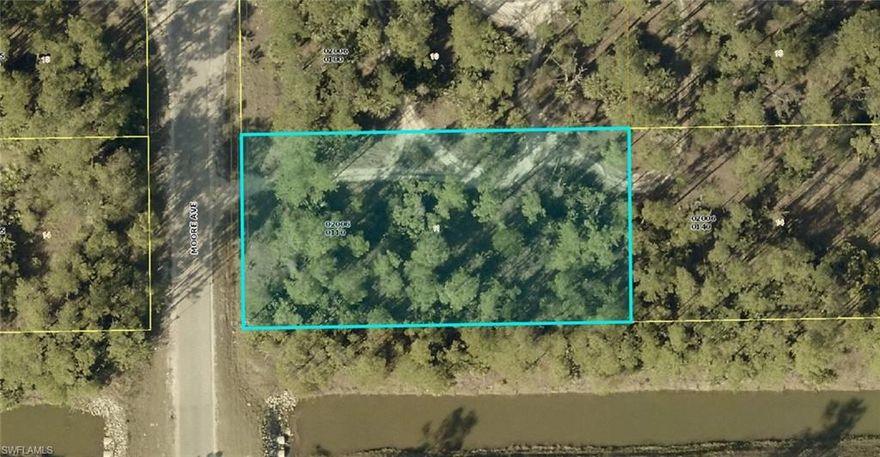 Welcome to this desirable vacant lot located at 2 Moore Avenue in Lehigh Acres, Florida. Positioned on a peaceful street just off Leeland Heights Boulevard and minutes from Joel Boulevard and Palm Beach Boulevard (SR 80), this property combines convenience with a quiet residential atmosphere. The lot offers ample space to build your custom home and enjoy a lifestyle surrounded by Florida’s natural beauty, while still being close to shopping centers, dining, schools, and community amenities. Easy access to Sentinela Boulevard and nearby main roads makes commuting to Fort Myers and I-75 seamless. The neighborhood features a mix of established homes and new construction, making it an excellent opportunity for homeowners or investors looking for growth potential in a thriving area. Whether you plan to build now or hold as an investment, this property offers the perfect blend of location, accessibility, and future value.
