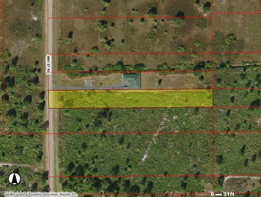 NICE 1.17 ACRE PROPERTY OF PINE AND PALMETTO.  DEP LETTER ATTACHED SHOWING NO ENVIRONMENTAL PERMIT NECESSARY.  ADJACENT 1.64 ACRE PROPERTY ALSO AVAILABLE SEE MLS# 218009022.