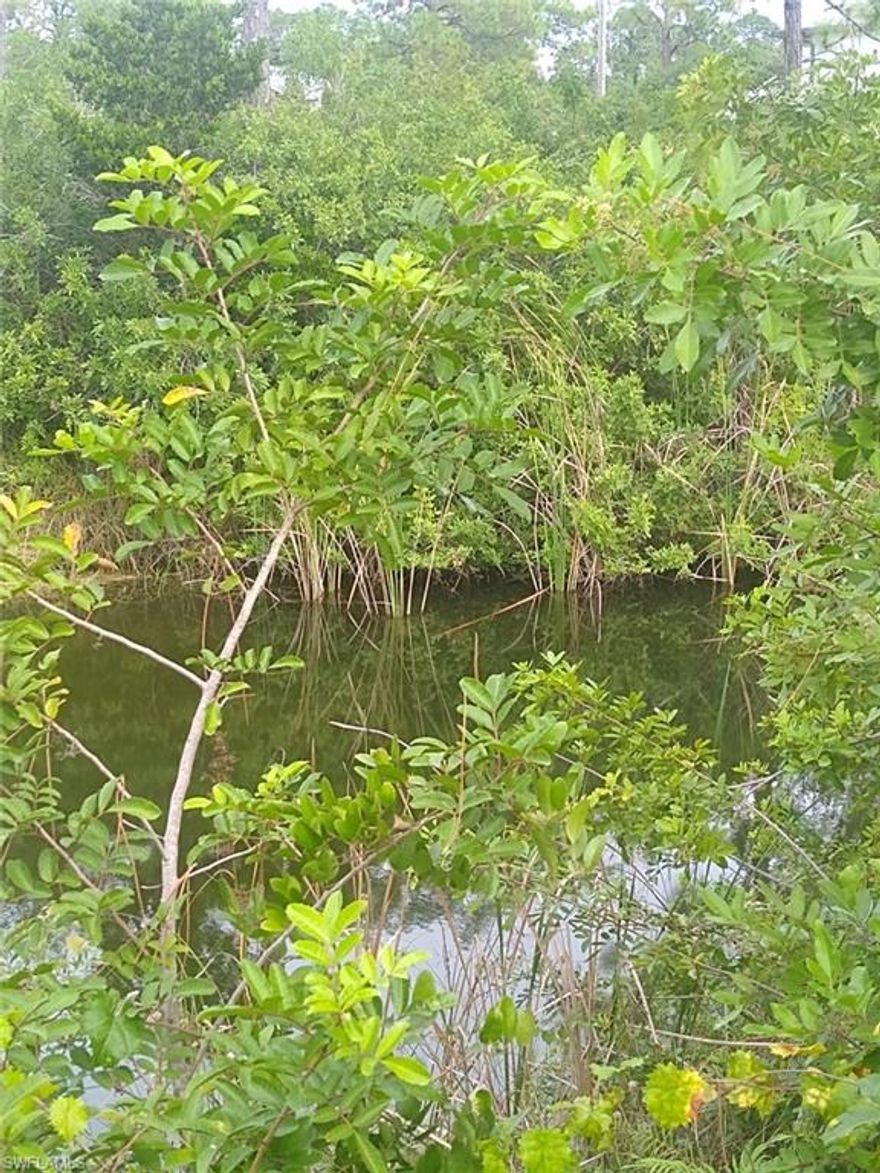Northerly rear exposure on a  canal with boating and fishing right from your backyard. Beaches are close by, schools, dining, and entertainment.