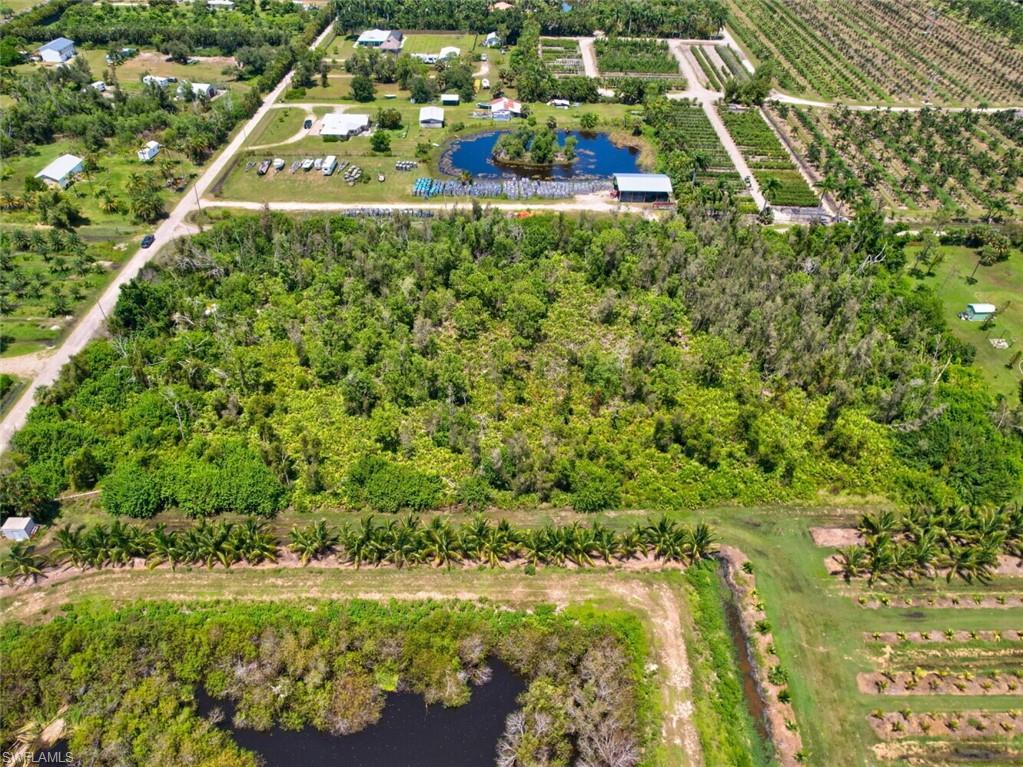 KREAMERS AVOCADO SUBD - Land