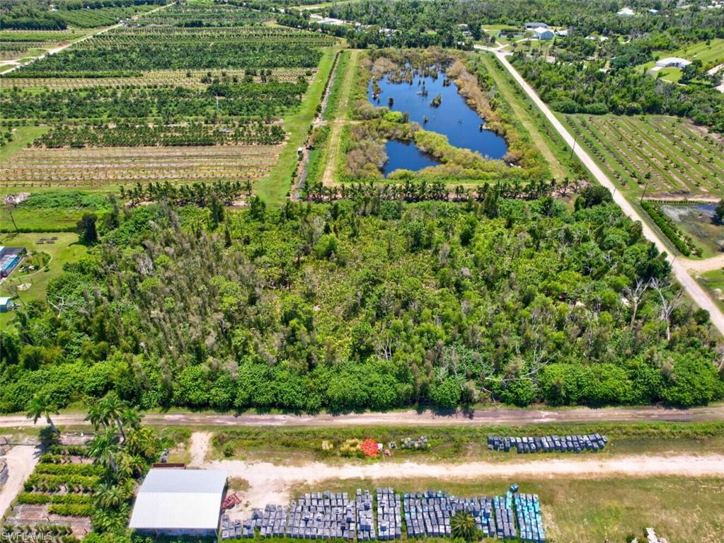 KREAMERS AVOCADO SUBD - Land