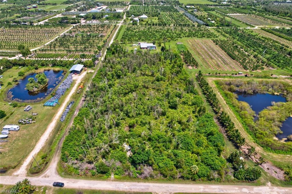 KREAMERS AVOCADO SUBD - Land